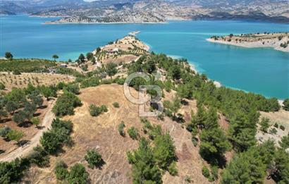 CB'DEN SARIÇUKUR'DA PANORAMİK MANZARALI SATILIK BAĞ