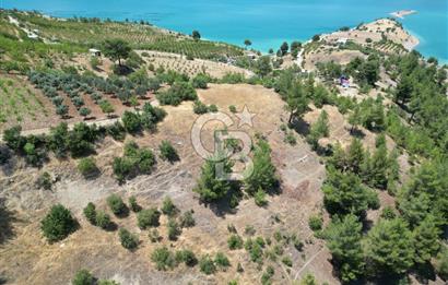 CB'DEN SARIÇUKUR'DA PANORAMİK MANZARALI SATILIK BAĞ