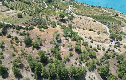 CB'DEN SARIÇUKUR'DA PANORAMİK MANZARALI SATILIK BAĞ