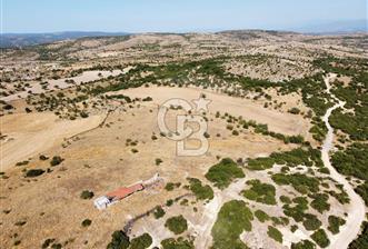 ÇANAKKALE, EZİNE, KARADAĞ KÖYÜNDE SATILIK TARLA