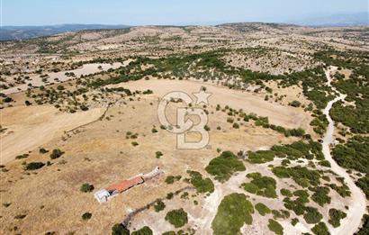 ÇANAKKALE, EZİNE, KARADAĞ KÖYÜNDE SATILIK TARLA