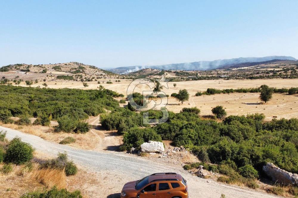 ÇANAKKALE, EZİNE, KARADAĞ KÖYÜNDE SATILIK TARLA