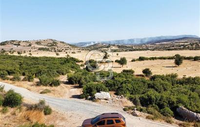 ÇANAKKALE, EZİNE, KARADAĞ KÖYÜNDE SATILIK TARLA