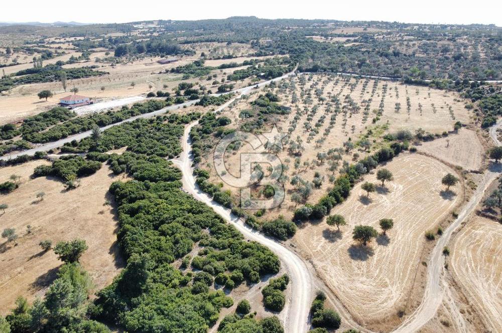 ÇANAKKALE, EZİNE, KARADAĞ KÖYÜNDE SATILIK TARLA