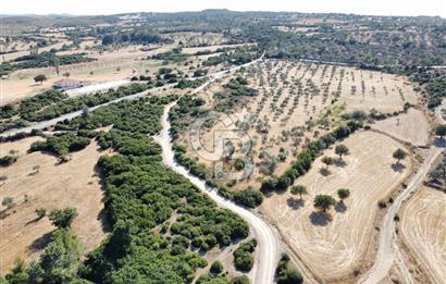 ÇANAKKALE, EZİNE, KARADAĞ KÖYÜNDE SATILIK TARLA