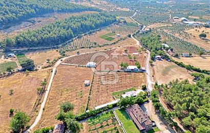 "Yatırım Fırsatı !" Çamlıca Mahallesi'nde 4962 m² Tarla ve Ev