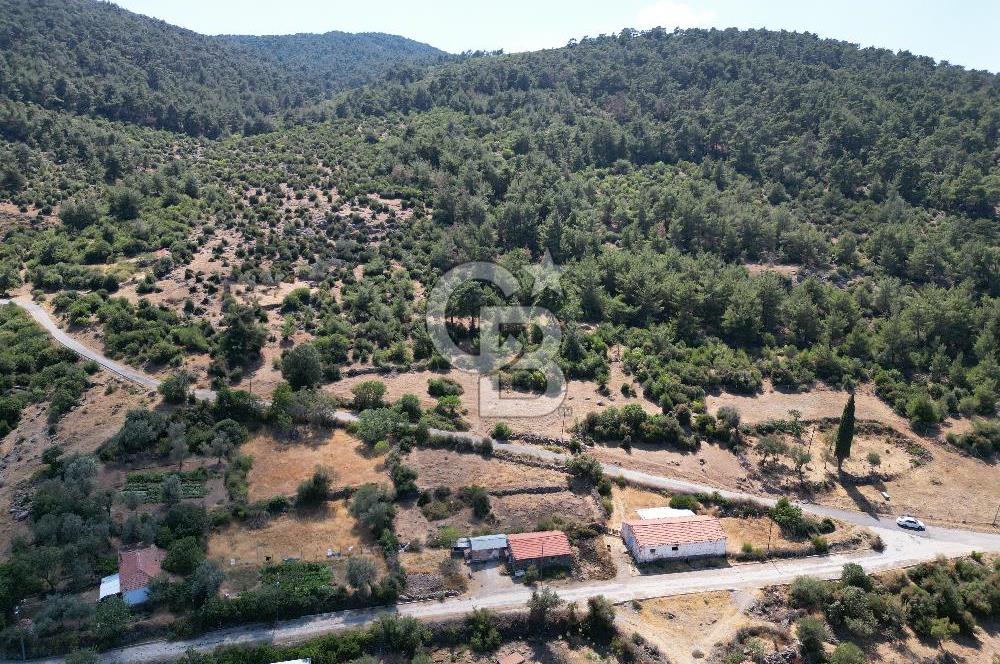 BERGAMA BEKİRLER KÖYÜ’NDE KÖY YERLEŞİK ALANINDA SATILIK ARAZİ