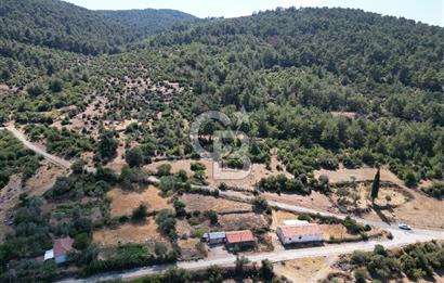 BERGAMA BEKİRLER KÖYÜ’NDE KÖY YERLEŞİK ALANINDA SATILIK ARAZİ