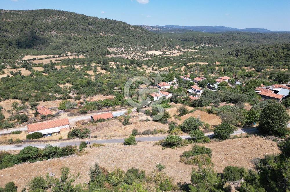 BERGAMA BEKİRLER KÖYÜ’NDE KÖY YERLEŞİK ALANINDA SATILIK ARAZİ