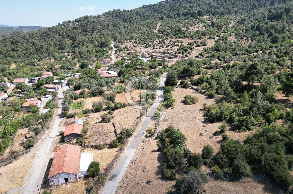 BERGAMA BEKİRLER KÖYÜ’NDE KÖY YERLEŞİK ALANINDA SATILIK ARAZİ