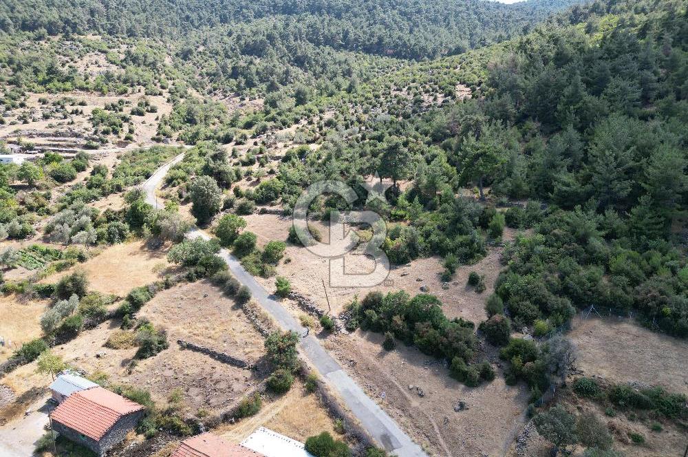 BERGAMA BEKİRLER KÖYÜ’NDE KÖY YERLEŞİK ALANINDA SATILIK ARAZİ