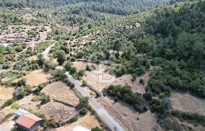 BERGAMA BEKİRLER KÖYÜ’NDE KÖY YERLEŞİK ALANINDA SATILIK ARAZİ