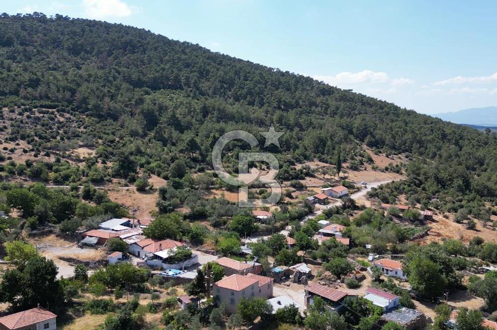 BERGAMA BEKİRLER KÖYÜ’NDE KÖY YERLEŞİK ALANINDA SATILIK ARAZİ