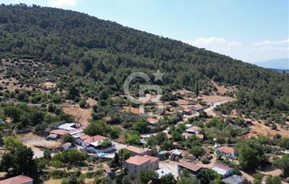 BERGAMA BEKİRLER KÖYÜ’NDE KÖY YERLEŞİK ALANINDA SATILIK ARAZİ