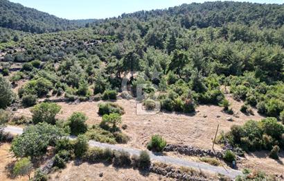 BERGAMA BEKİRLER KÖYÜ’NDE KÖY YERLEŞİK ALANINDA SATILIK ARAZİ