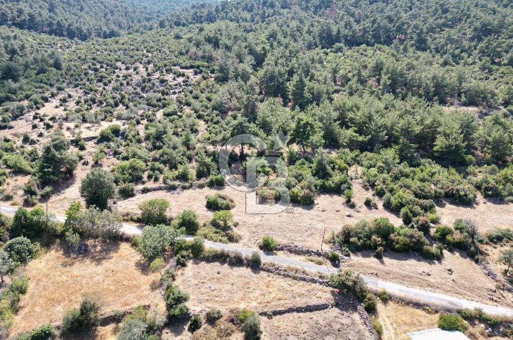 BERGAMA BEKİRLER KÖYÜ’NDE KÖY YERLEŞİK ALANINDA SATILIK ARAZİ