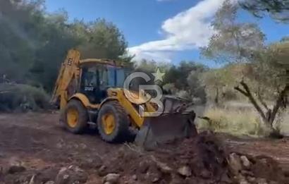 Urla Kuşçular'da 225 m2 kooperatif arsası 