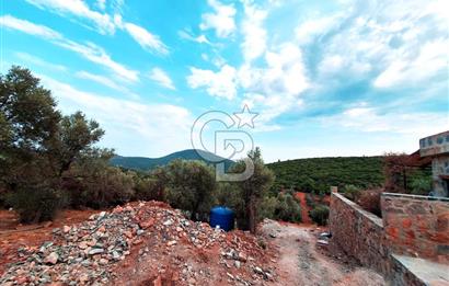 Bodrum Çilek Köyü Avantajlı Konumda 480 mt Kooperatif Hissesi