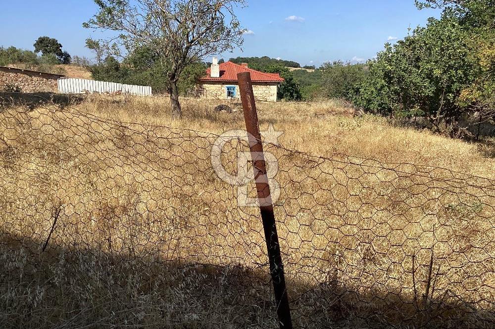 KOYUNYERİ KÖYÜNDE YILLARA MEYDAN OKUYAN TAŞ EV İMARLI ARSA