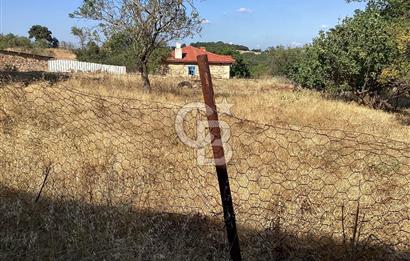 KOYUNYERİ KÖYÜNDE YILLARA MEYDAN OKUYAN TAŞ EV İMARLI ARSA