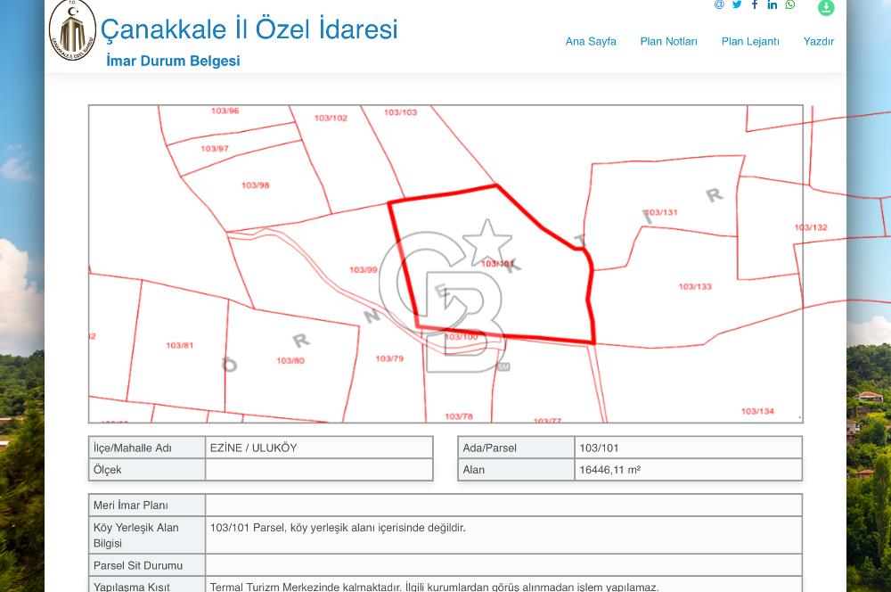 EZİNE ULUKÖYDE DENİZE YAKIN 16.446 M2 SATILIK TARLA