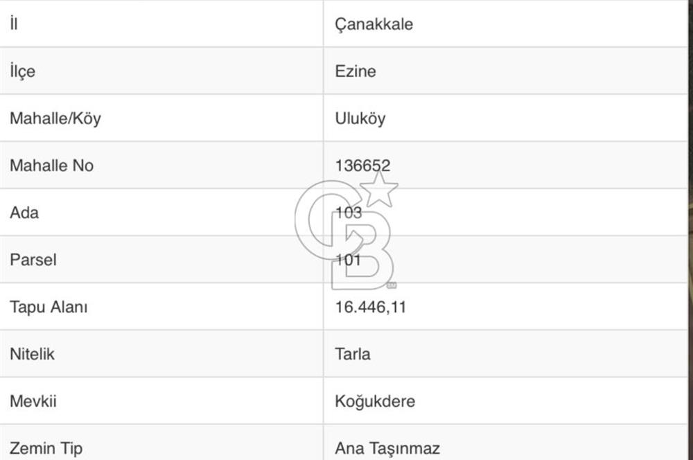 EZİNE ULUKÖYDE DENİZE YAKIN 16.446 M2 SATILIK TARLA