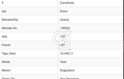 EZİNE ULUKÖYDE DENİZE YAKIN 16.446 M2 SATILIK TARLA