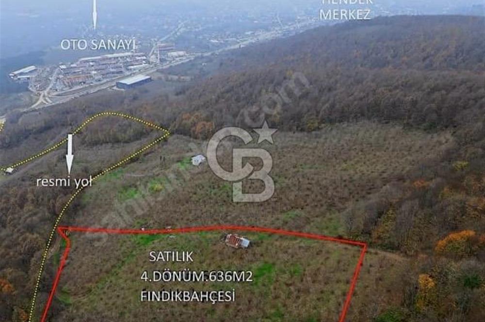 HENDEK NURİYE MAHALLESİNDE 4636 M2 SATILIK FINDIK TARLASI