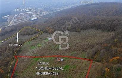 HENDEK NURİYE MAHALLESİNDE 4636 M2 SATILIK FINDIK TARLASI