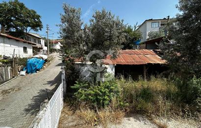 Bursa İznik Elbeyli'de Yatırımlık Satılık Köy Evi