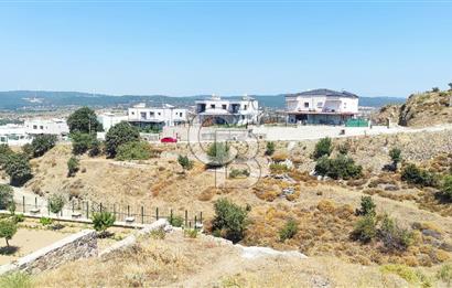 1000 m2  Seferihisar Ulamış'ta 2 adet Ayrık Nizam Villa İmarlı Arsa 