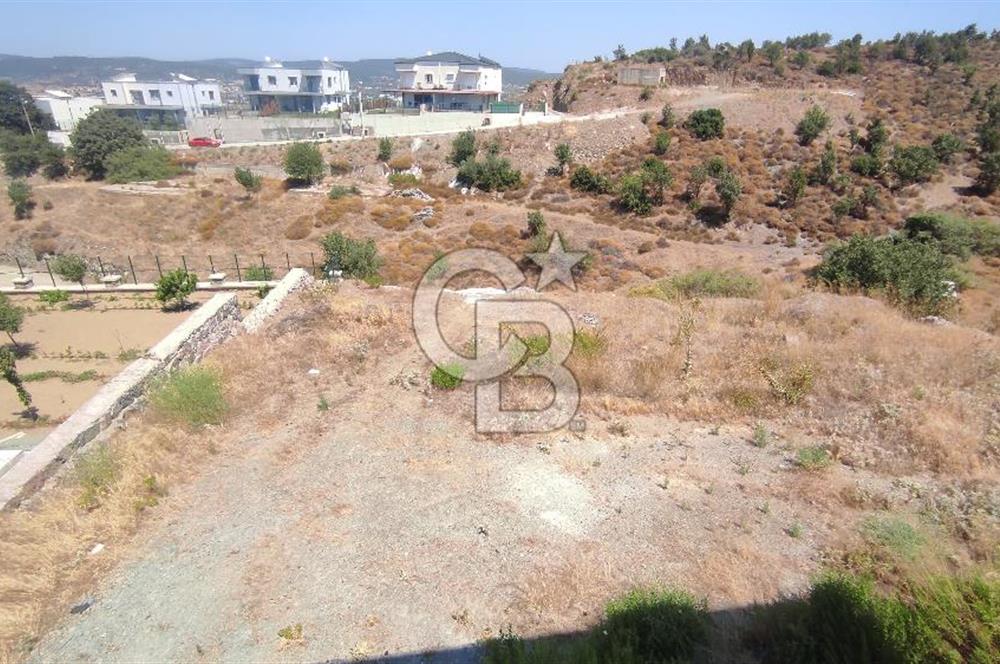 1000 m2  Seferihisar Ulamış'ta 2 adet Ayrık Nizam Villa İmarlı Arsa 