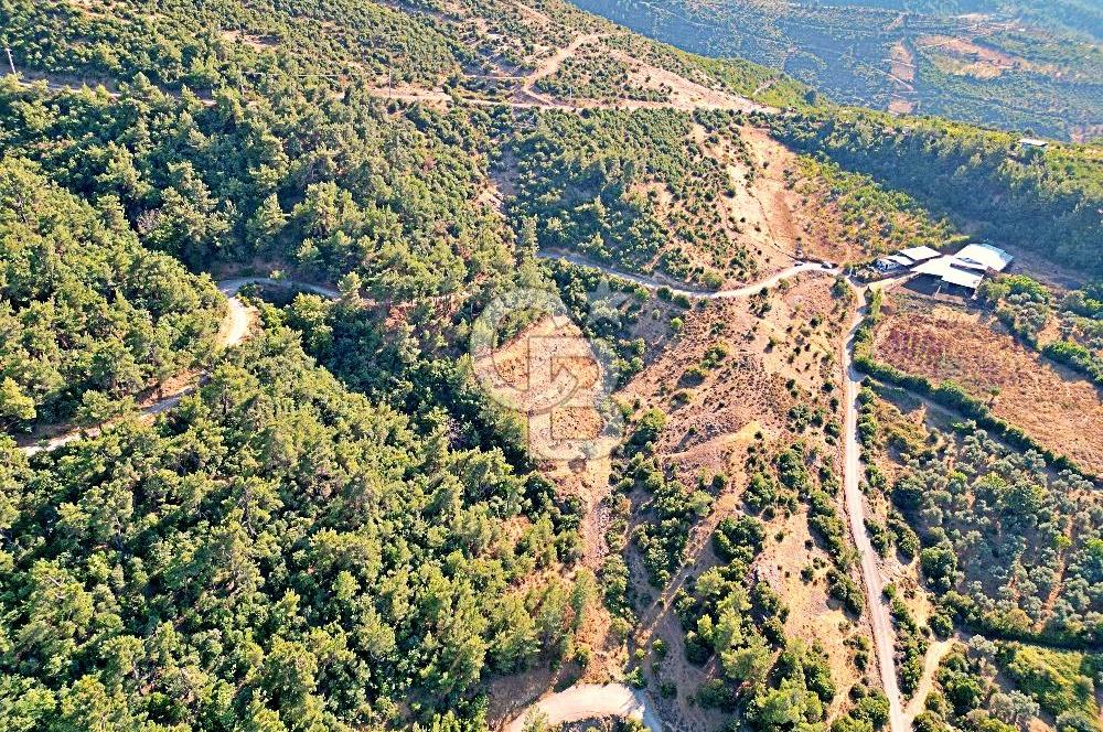 Kemalpaşa Satılık - Doğa ve Şehir Manzaralı!