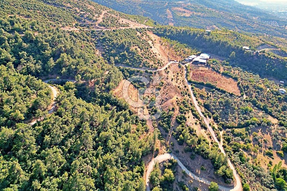 Kemalpaşa Satılık - Doğa ve Şehir Manzaralı!