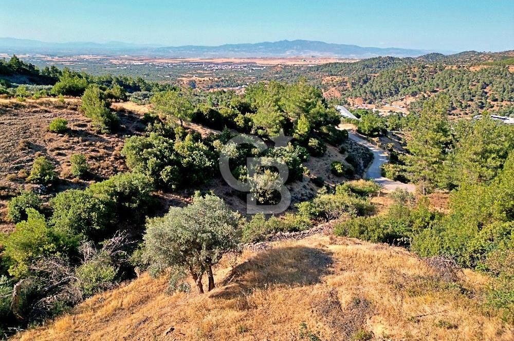 Kemalpaşa Satılık - Doğa ve Şehir Manzaralı!