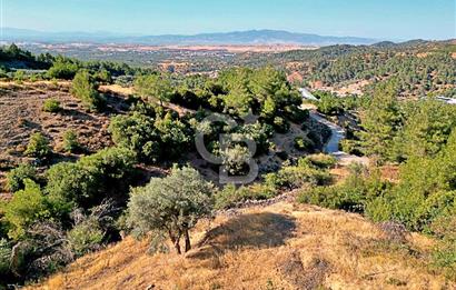 Kemalpaşa Satılık - Doğa ve Şehir Manzaralı!