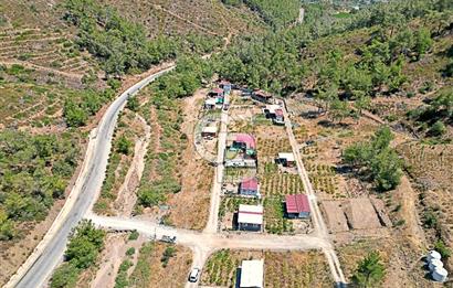 Mutlu Yaşam Bahçesinde - Huzur Dolu Bir Yaşam!