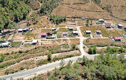 Mutlu Yaşam Bahçesinde - Huzur Dolu Bir Yaşam!