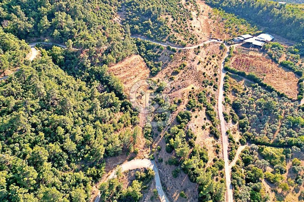 Kemalpaşa Satılık - Doğa ve Şehir Manzaralı!