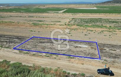 FOÇA-YENİBAĞARASINDA 880 M2 ETRAFI TELLE ÇEVRİLİ SATILIK  TARLA 