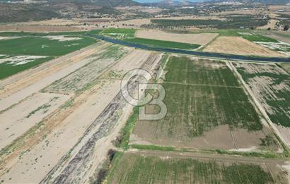 FOÇA-YENİBAĞARASINDA 880 M2 ETRAFI TELLE ÇEVRİLİ SATILIK  TARLA 