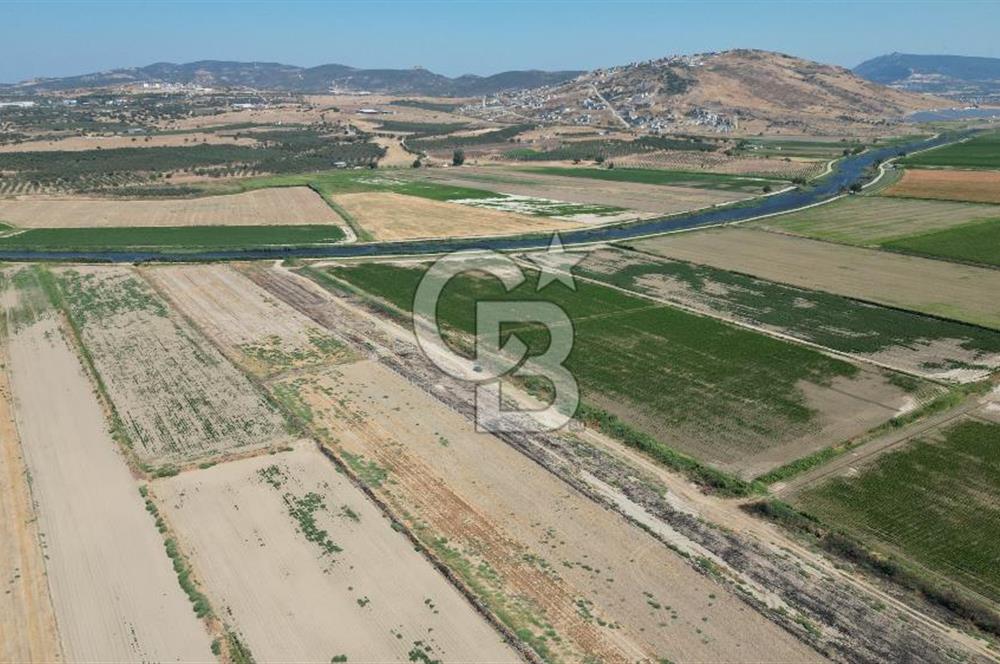 FOÇA-YENİBAĞARASINDA 880 M2 ETRAFI TELLE ÇEVRİLİ SATILIK  TARLA 