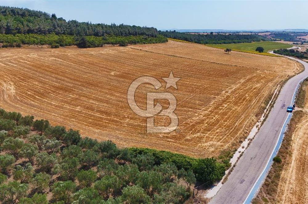 Halileli Köyünde Denize 300m Yola Cephe 21.688 m² Satık Tarla !