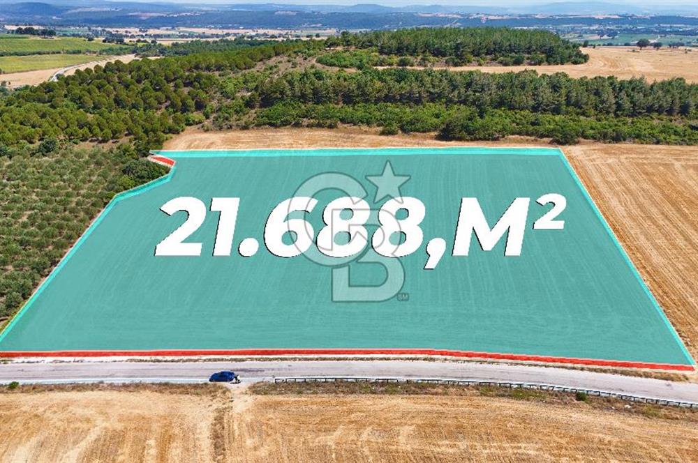 Halileli Köyünde Denize 300m Yola Cephe 21.688 m² Satık Tarla !