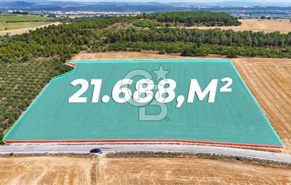 Halileli Köyünde Denize 300m Yola Cephe 21.688 m² Satık Tarla !