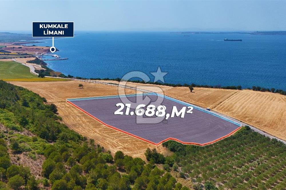 Halileli Köyünde Denize 300m Yola Cephe 21.688 m² Satık Tarla !