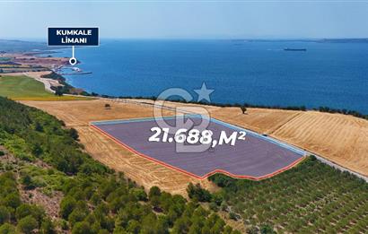 Halileli Köyünde Denize 300m Yola Cephe 21.688 m² Satık Tarla !