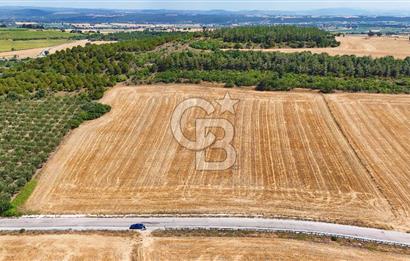 Halileli Köyünde Denize 300m Yola Cephe 21.688 m² Satık Tarla !