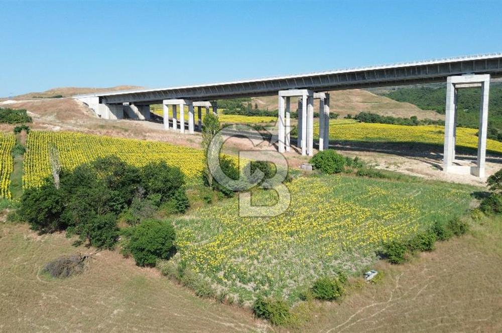 LAPSEKİNİN EN GÖZDE YERİ SULUCADA YATIRIMLIK TARLA