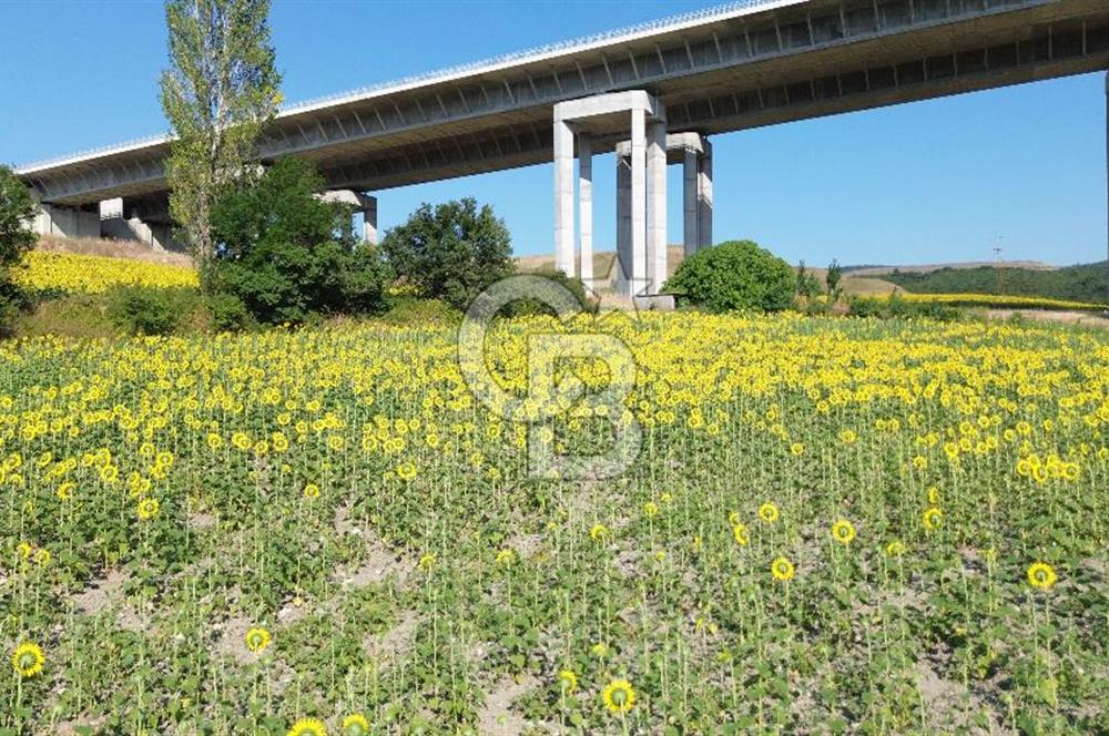 LAPSEKİNİN EN GÖZDE YERİ SULUCADA YATIRIMLIK TARLA